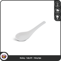 Muỗng - Tulip IFP - Trắng Ngà