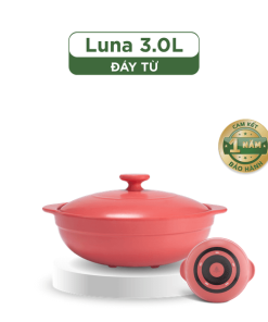 Nồi dưỡng sinh Luna (Nồi cạn) 3.0 L + nắp (CK) (bếp từ) - HealthyCook - Màu Đỏ 2