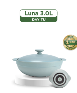 Nồi dưỡng sinh Luna (Nồi cạn) 3.0 L + nắp (CK) (bếp từ) - HealthyCook - Màu Xám 2