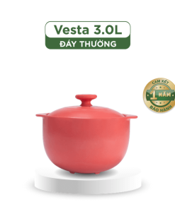 Nồi dưỡng sinh Vesta 3.0 L + nắp (CK) - Healthy Cook - Màu Đỏ 2