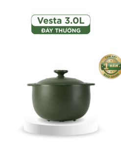 Nồi dưỡng sinh Vesta 3.0 L + nắp (CK) - Healthy Cook - Xanh Rêu