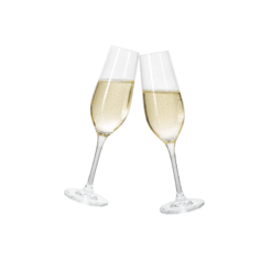 Các Loại Ly Champagne Phổ Biến