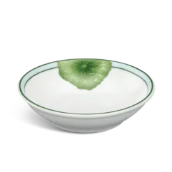 Chén chấm - Jasmine - Tích Tuyết Thảo DCNH