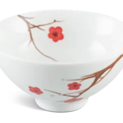 Chén cơm - Daisy - Hồng Mai DCNH