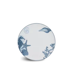 Dĩa tròn (KL) - Timeless - Đại Dương Sương Mờ DCNH