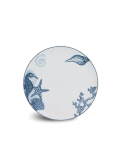 Dĩa tròn (KL) - Timeless - Đại Dương Sương Mờ DCNH