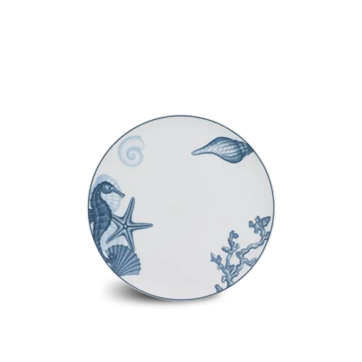 Dĩa tròn (KL) - Timeless - Đại Dương Sương Mờ DCNH