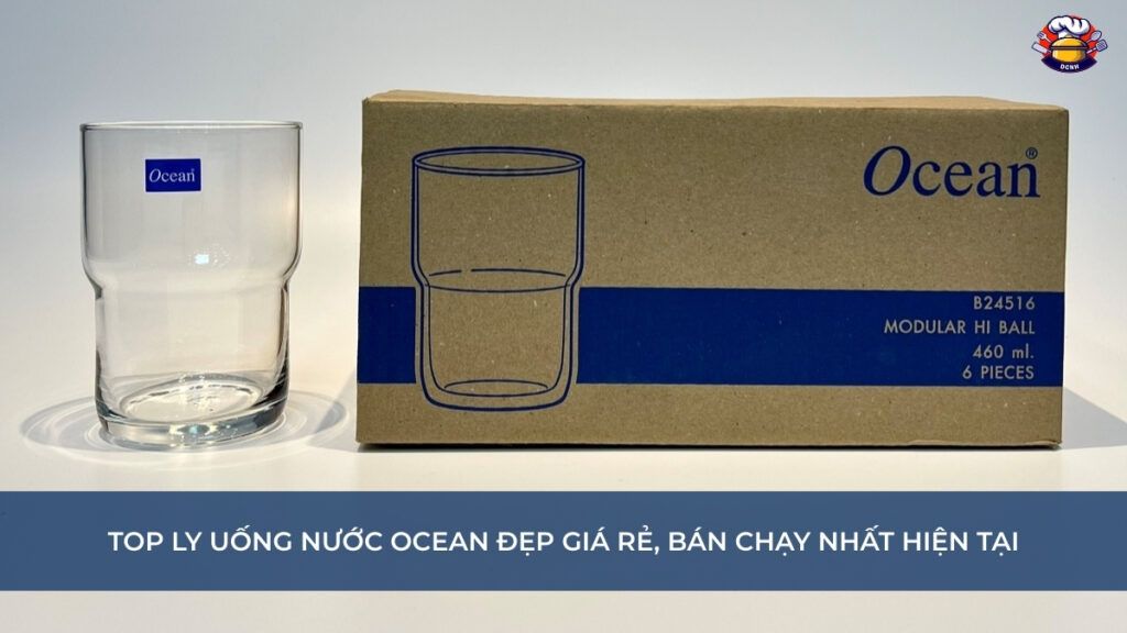 Top Ly uống nước Ocean đẹp giá rẻ