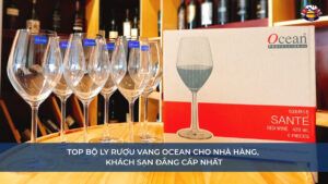 Top bộ ly rượu vang Ocean cho nhà hàng, khách sạn