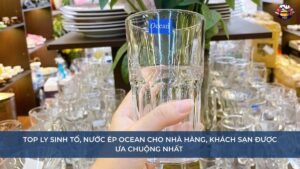 Top ly sinh tố, nước ép Ocean cho nhà hàng, khách sạn